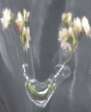 Twisty Vase